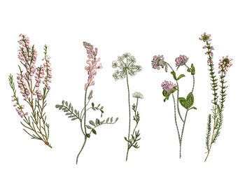 Wild Flowers: Bell heather, Clover,  Yarrow, Sweet Vetch, Scotch heather Machine Embroidery Design Pattern, Instant Download Zip - 3 sizes