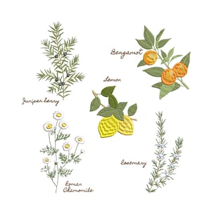 Kitchen Set for Machine Embroidery Floral Botanical Lemon Bergamot Rosemary Chamomile Pattern Instant Download Zip - 4 sizes