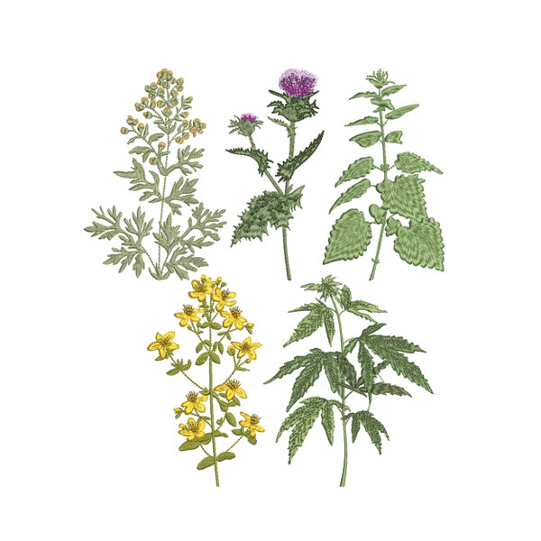 6 Heilpflanzen Maschinenstickerei Design, Brennnessel Mariendistel Cannabis Johanniskraut botanisches Muster Instant Download Zip - 6 Größen