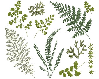 Forest Fern Machine Embroidery Design Bundle, 12 Ferns, Botanical Bohemian Easter Garden Pattern Instant Download Zip - 5 SIZES