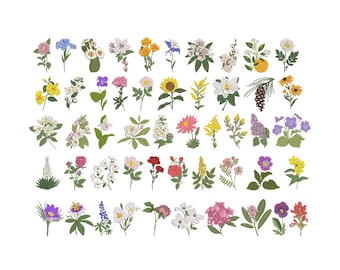 50 Fiori degli Stati Uniti - Disegno per ricamo a macchina, Modello floreale - Download immediato in formato Zip - 5 misure