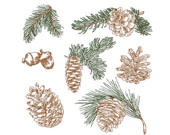 Pine Branches and Cone Machine Embroidery, Forest Botanical Tree Design Instant Download ZIP- ANY SIZE