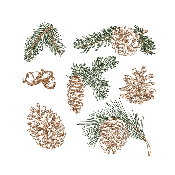 Pine Branches and Cone Machine Embroidery, Forest Botanical Tree Design Instant Download ZIP- ANY SIZE