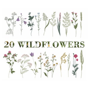 20 Wild flowers and Grass Machine Embroidery Design, Easter Floral Meadow Flower Botanical Bouquet Instant Download Zip - 5 Sizes