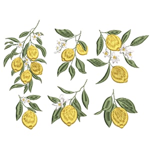 Mini Lemon Branches Machine Embroidery Design, Tiny Small Botanical Bundle Pattern Instant Download Zip File - 5 sizes