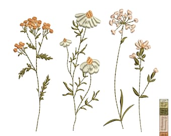 Disegno per ricamo a macchina con fiori selvatici di tanaceto e camomilla, download immediato in formato zip - 4 misure