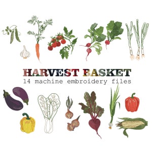Gemüsegarten Korb Maschinenstickerei, Karotte Radieschen Zwiebel Pfeffer Mais botanische Herbsternte Muster Instant Download Zip - 5 Größen