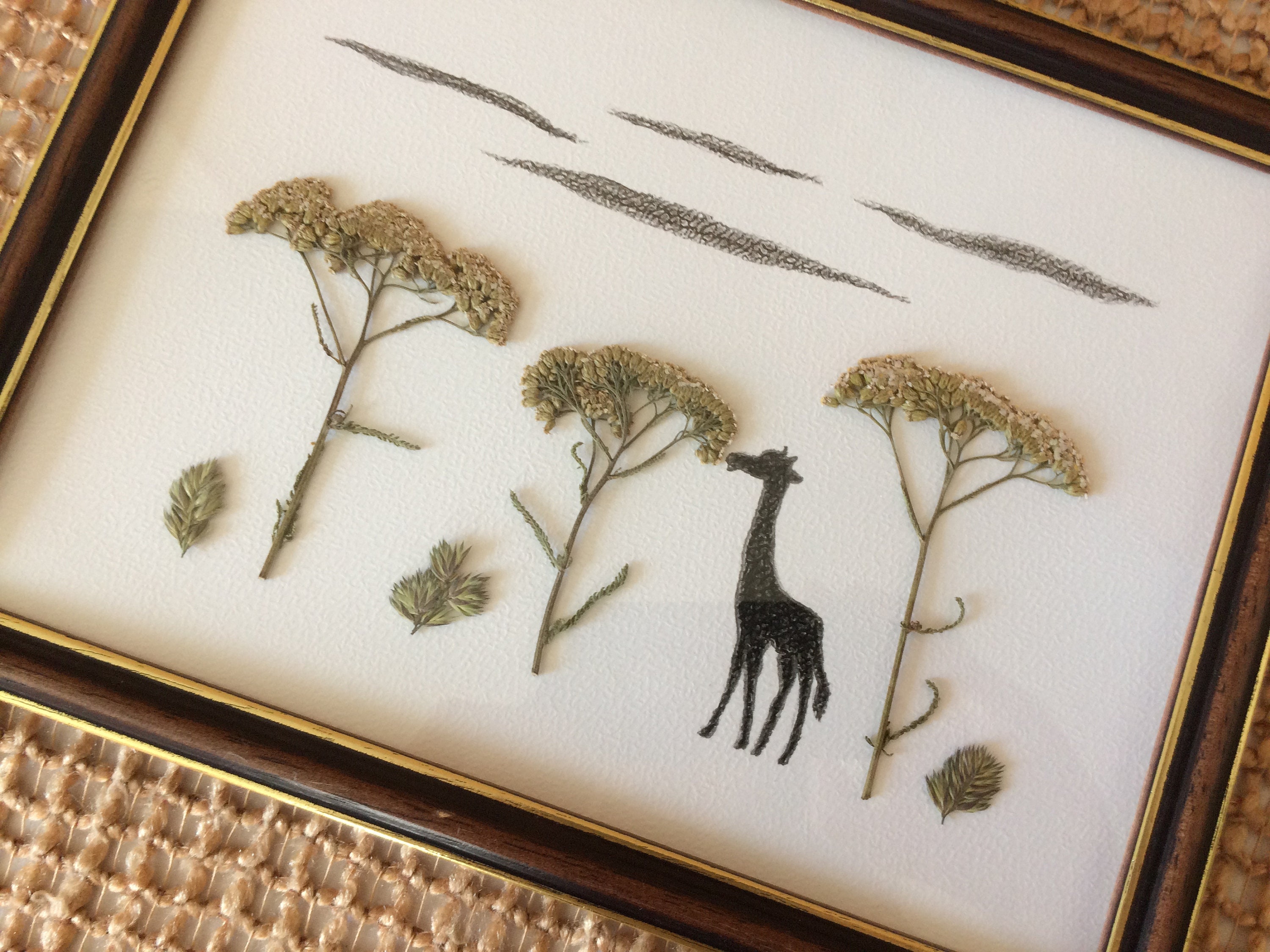 Cadre Herbier de Fleurs Séchées, Herbier Encadré, Fait à La Main, Cadre Végétal, Herbarium, Composit