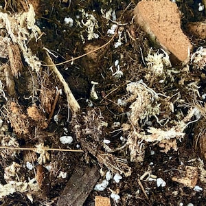 Pode incluir: Close-up de uma mistura de terra marrom escura com perlita branca, pedaços de casca de coco marrom e lascas de madeira marrom claro.