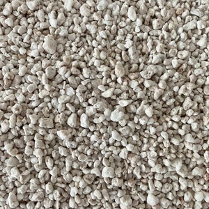 Pode incluir: Close-up de um monte de pequenos grânulos de perlita esbranquiçada de forma irregular. Os grânulos têm uma textura porosa e variam em tamanho, criando uma superfície texturizada. A imagem é bem iluminada.