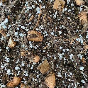 Monstera Substrate - Potting soil, coconut husk, and perlite