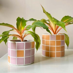 Puede incluir: Dos macetas de cerámica con un patrón geométrico de cuadrados rosas y naranjas. Las macetas están llenas de plantas verdes con tallos naranjas.