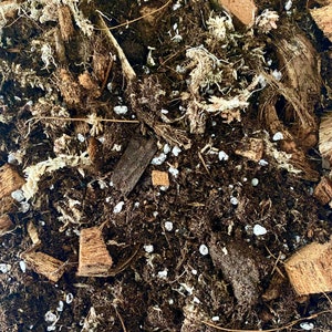 Pode incluir: Close-up de uma mistura de terra para vasos de cor marrom escura com pequenas pedras brancas, cascas de coco trituradas e lascas de madeira marrom.