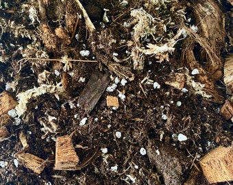 Sustrato para anturio: tierra para macetas, turba, corteza de coco, musgo sphagnum y perlita