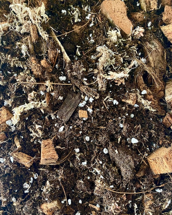 Buy Anthurium Substrate - Potting Soil, Peat, Coconut Bark, Sphagnum Moss  and Perlite Online in India - Etsy