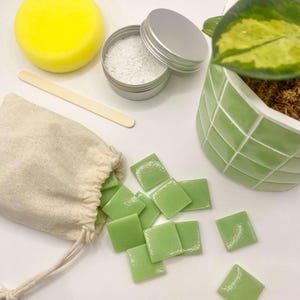 "Jungle Pop" Mosaic Plant Pot Kit