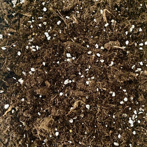 Pode incluir: Close-up de solo marrom escuro com pequenos grânulos brancos misturados. O solo é texturizado e parece ser adequado para plantar.