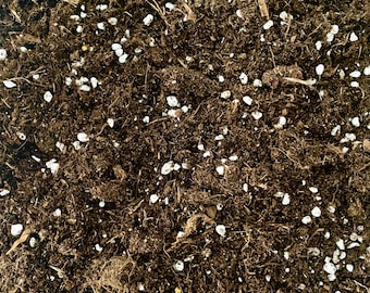 Sustrato para Alocasia y Pilea: Tierra para macetas, turba y perlita