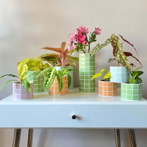 Peut inclure: Six plantes en pot dans des pots en céramique à carreaux verts, roses et orange sur une table blanche avec un tiroir. Les plantes comprennent une plante à fleurs roses, une plante à feuilles vertes et une plante à feuilles jaunes.