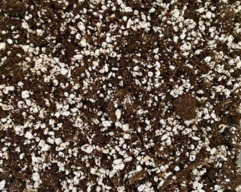 Substrato per cactus - terriccio e perlite