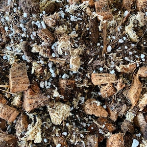 Philodendron and Syngonium Substrate - Coconut bark, potting soil, sphagnum moss and perlite