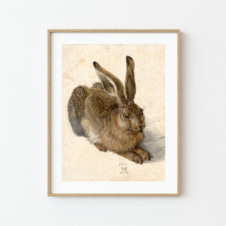 May include: A framed print of a detailed brown hare, rendered in a classic style. The artwork features the date 1502 and a monogram. The hare is depicted in a relaxed pose, with long ears and detailed fur, set against a neutral background.