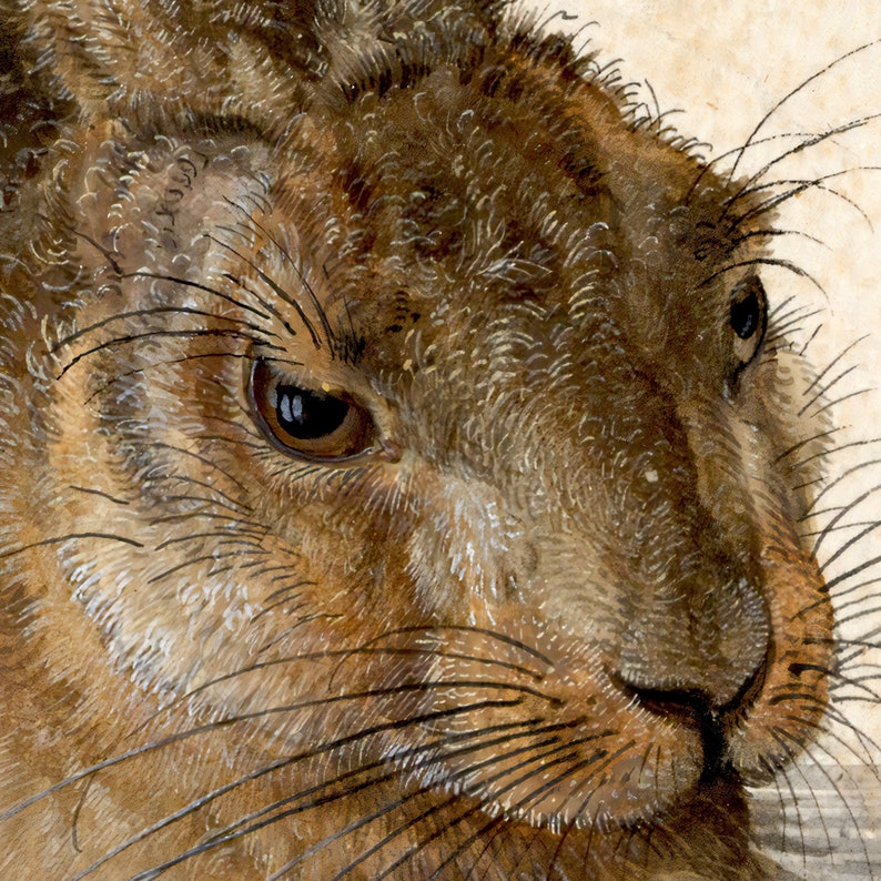 May include: Detailed close-up of a brown hare's face, with a focus on the texture of its fur and dark eyes. The artwork highlights the animal's whiskers and nose, with a realistic depiction of the fur and facial features.