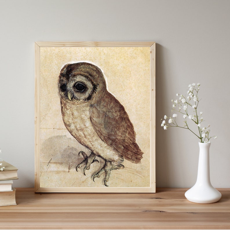 Little Owl, Albrecht Durer Antique Bird Painting Renaissance Animal Watercolor Print Printable Farmhouse Wall Art Digital Download image 3