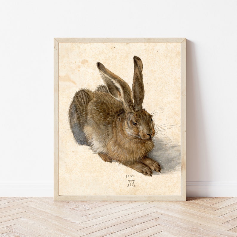 May include: Framed print of a brown hare, a detailed watercolour illustration. The artwork features the date 1502 and an artist's mark. The hare is depicted in a relaxed pose with long ears and detailed fur.