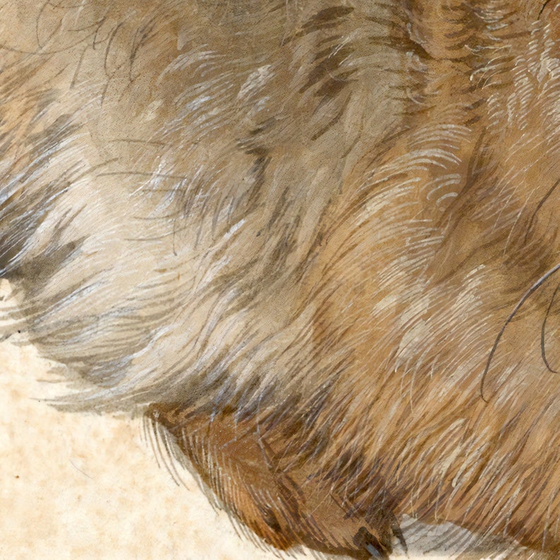 May include: Close-up of a watercolour painting showing animal fur. The fur is a blend of brown and tan shades, with detailed brushstrokes creating a textured appearance. The artwork has a vintage aesthetic.