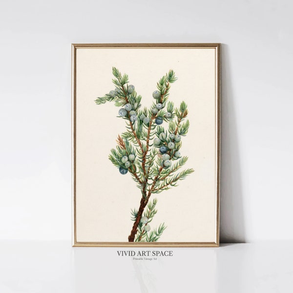 Juniper Tree Etsy