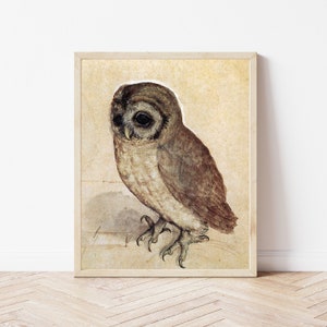 Little Owl, Albrecht Durer Antique Bird Painting Renaissance Animal Watercolor Print Printable Farmhouse Wall Art Digital Download image 5