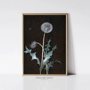 Cuadro de diente de león / Impresión botánica oscura / Decoración de Dark Academia / Impresión de arte vintage / Póster de planta / Arte de pared imprimible / Descarga digital