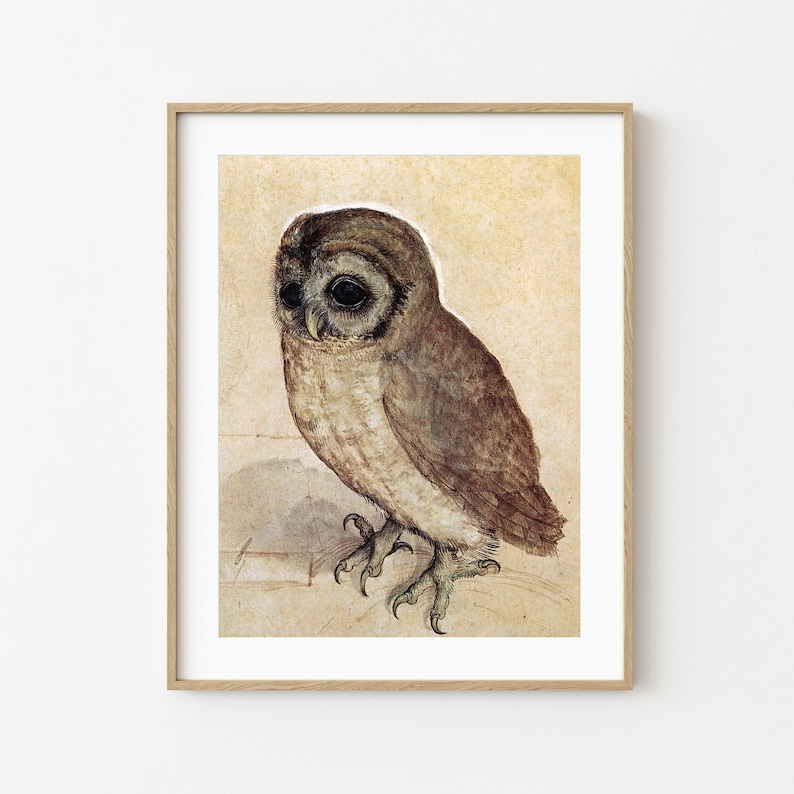 Little Owl, Albrecht Durer Antique Bird Painting Renaissance Animal Watercolor Print Printable Farmhouse Wall Art Digital Download image 4