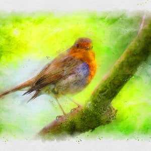 European Robin Watercolor Digital Print, Poster Print, Nature Print, Digital Download, Wall Art, Printable Nature Photos