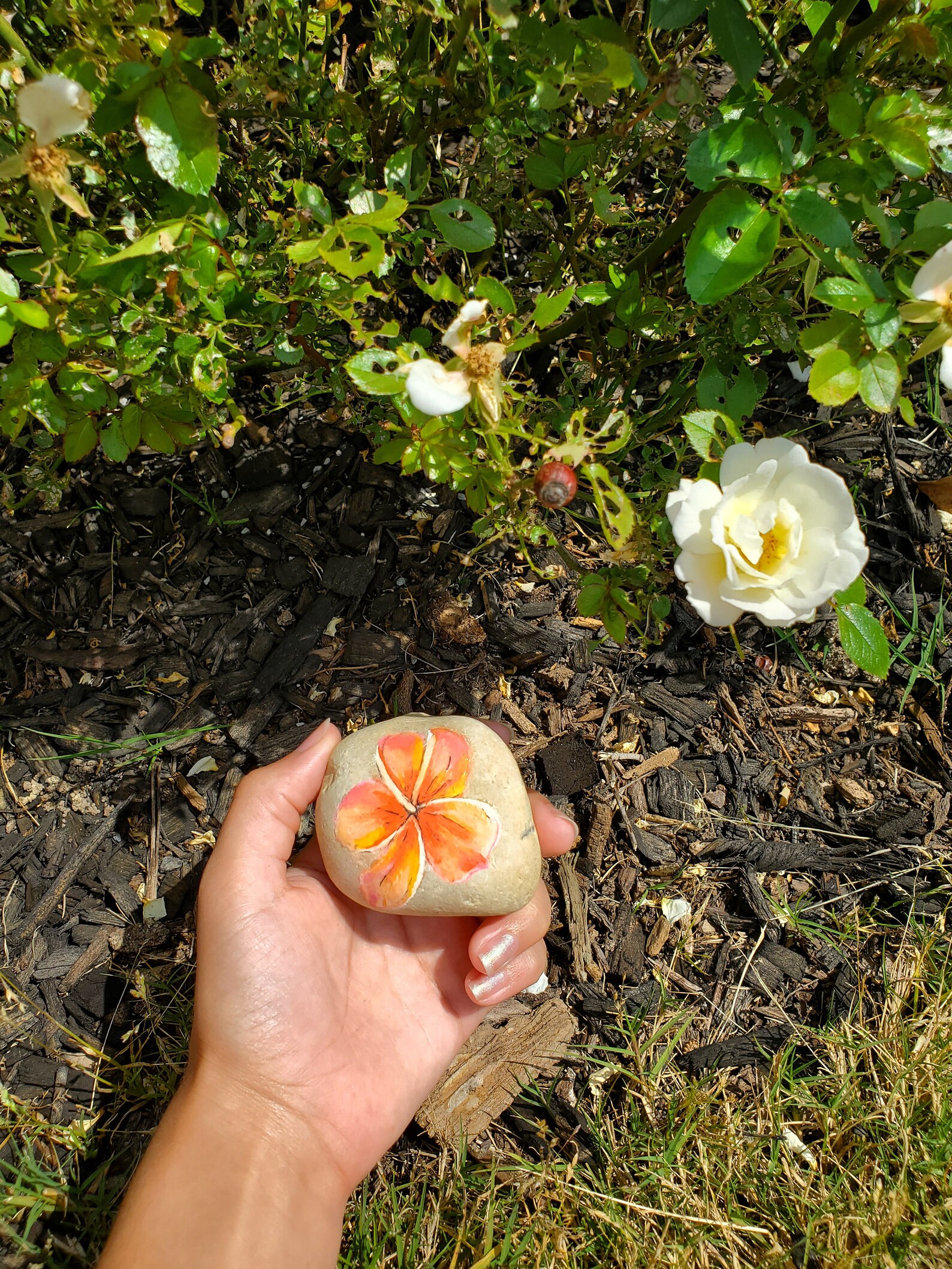 Flower Garden Rock Etsy