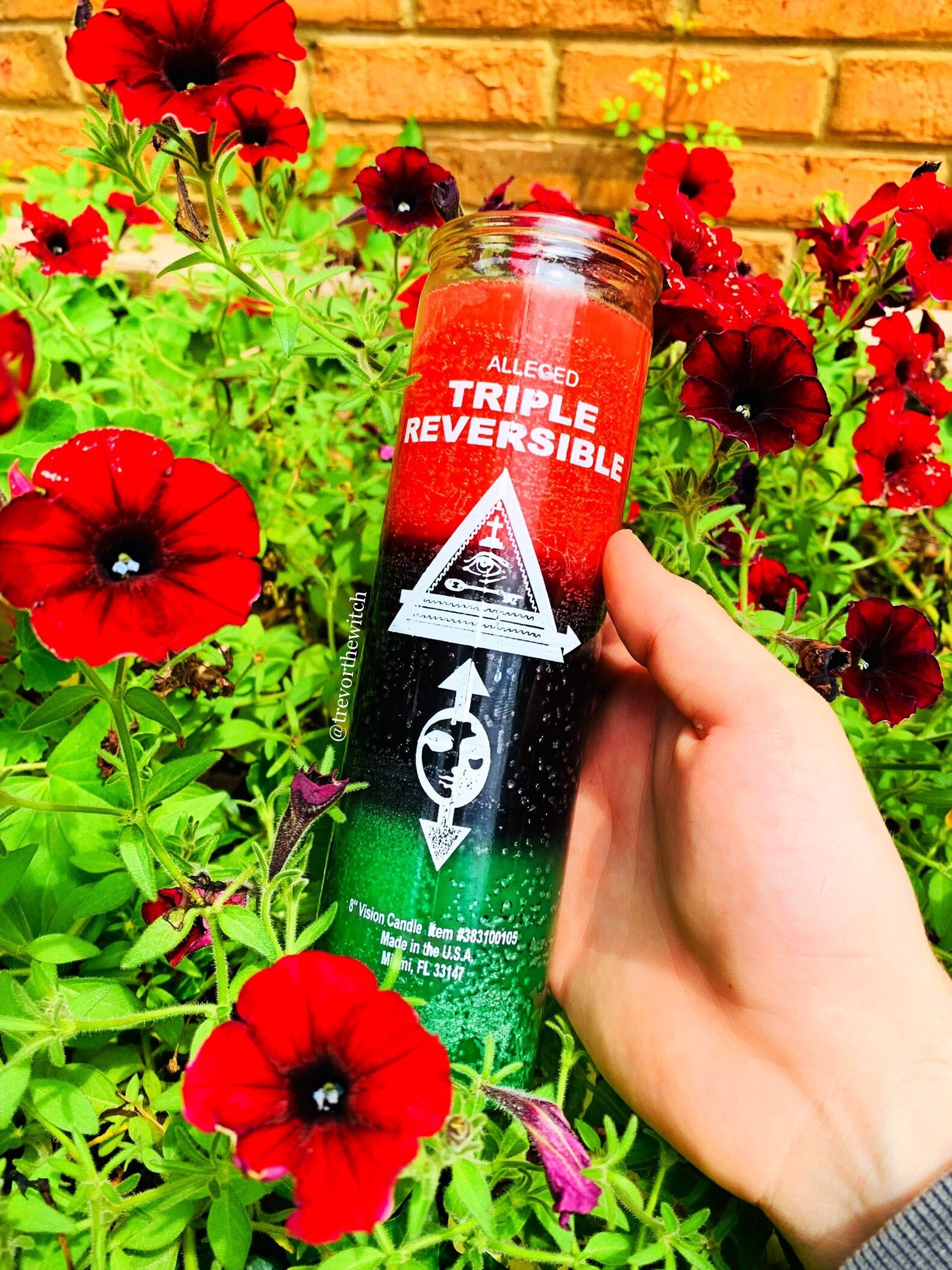 Triple Reversible 7Day Candle Blessed&Anointed reversal Etsy