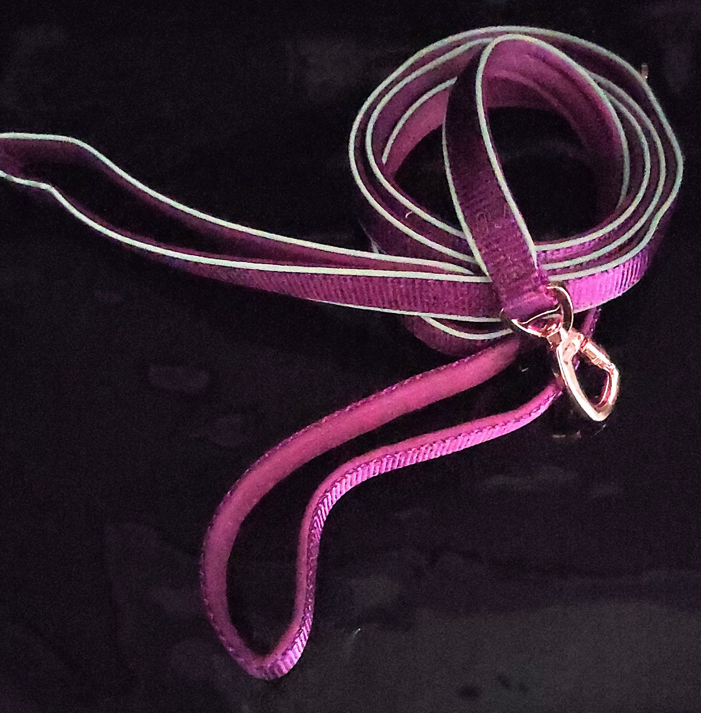 Laisse avec 2 Poignées et Collier