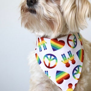 Say Gay- Dog and Baby Bandana Neckerchief Bib