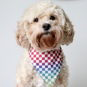 Checked Pride- Pet and Baby Bandana Neckerchief Bib
