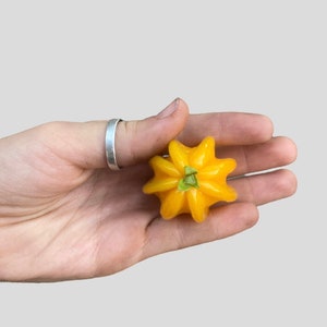 Pitangatuba seedling Star cherry 1gal