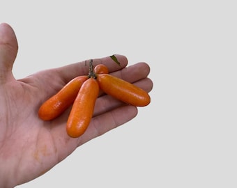 10+ SEMILLAS RARAS DE FLOR DE LOS DEDOS