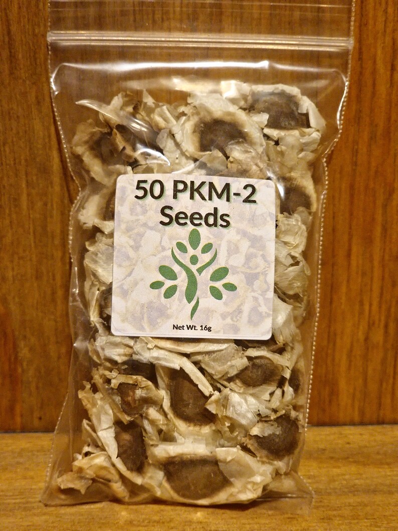 May include: A clear plastic bag filled with 50 brown moringa seeds. The bag has a white label that reads "50 PKM-2 Seeds" and "Net Wt. 16g".