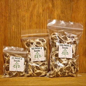 May include: Three clear plastic bags containing moringa seeds. The bags are labeled with the quantity of seeds: 25, 50, and 100. The bags are sitting on a wooden surface.