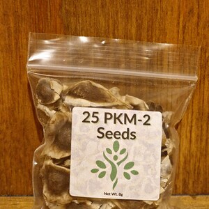 May include: A clear plastic bag containing 25 PKM-2 seeds. The bag has a white label with the text "25 PKM-2 Seeds" and a small green tree graphic. The label also states "Net Wt. 8g".
