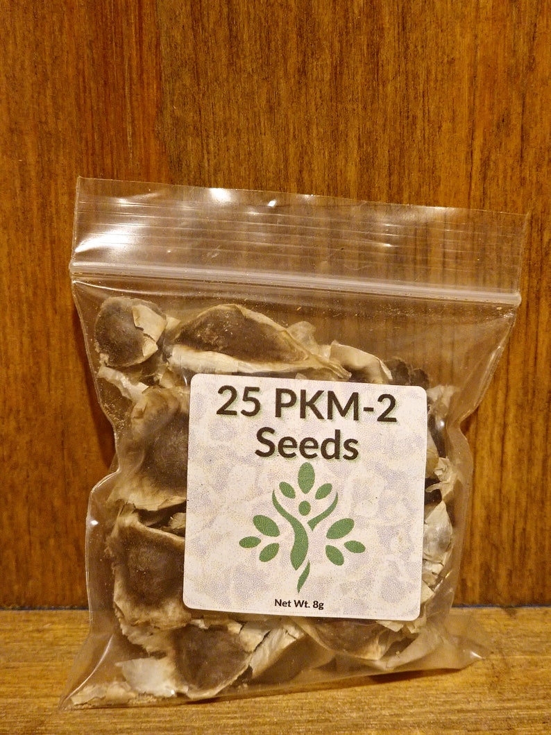 May include: A clear plastic bag containing 25 PKM-2 seeds. The bag has a white label with the text "25 PKM-2 Seeds" and a small green tree graphic. The label also states "Net Wt. 8g".