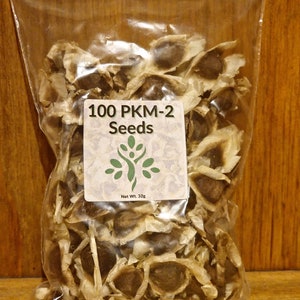 May include: A clear plastic bag filled with 100 PKM-2 Moringa seeds, weighing 32 grams. The bag has a label that reads "100 PKM-2 Seeds" and features a green leaf design.