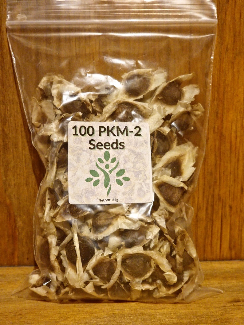 May include: A clear plastic bag filled with 100 PKM-2 Moringa seeds, weighing 32 grams. The bag has a label that reads "100 PKM-2 Seeds" and features a green leaf design.