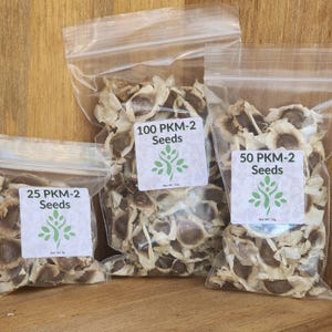 May include: Three clear plastic bags filled with seeds, each labeled with white stickers. The stickers read "25 PKM-2 Seeds", "100 PKM-2 Seeds", and "50 PKM-2 Seeds". The labels also feature a green tree logo and net weight information.