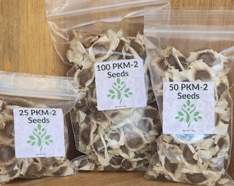 Moringa Oleifera Heirloom PKM2 Seeds